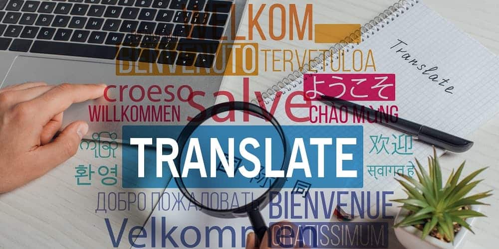 Does My Business Need A Professional Translation Service